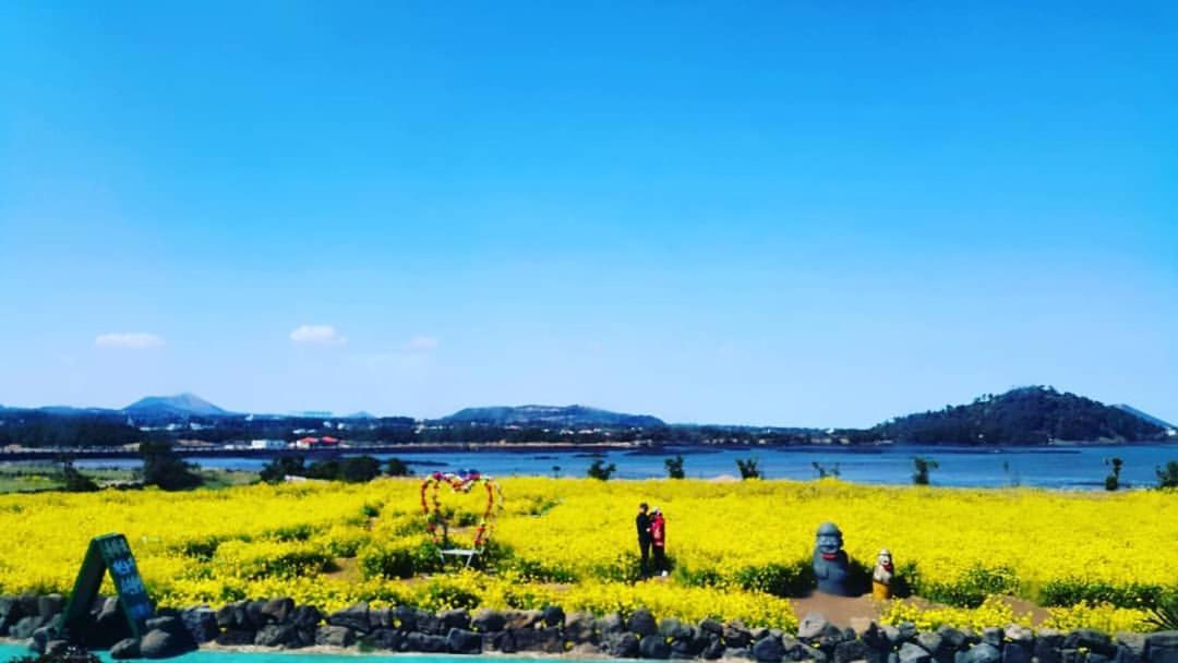 Seongsan Ilchulbong Pension Jeju Exteriör bild